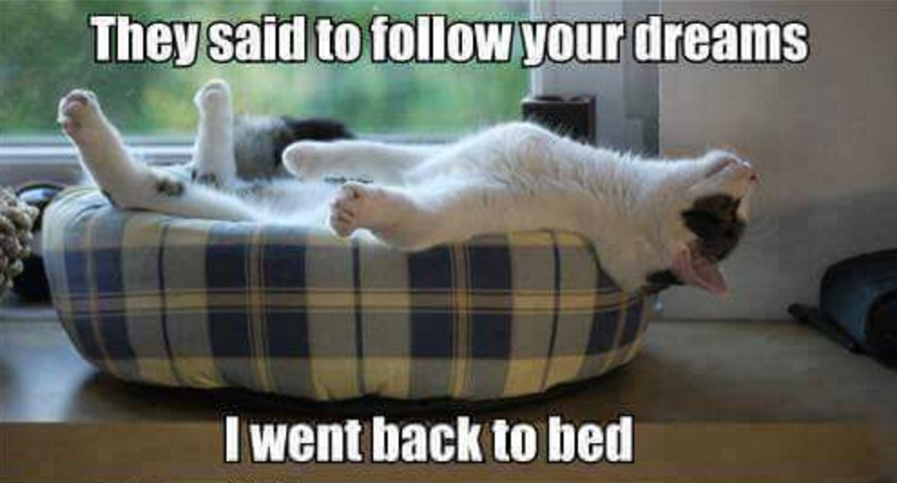 HUMOR’AGE – Follow Your Dream!